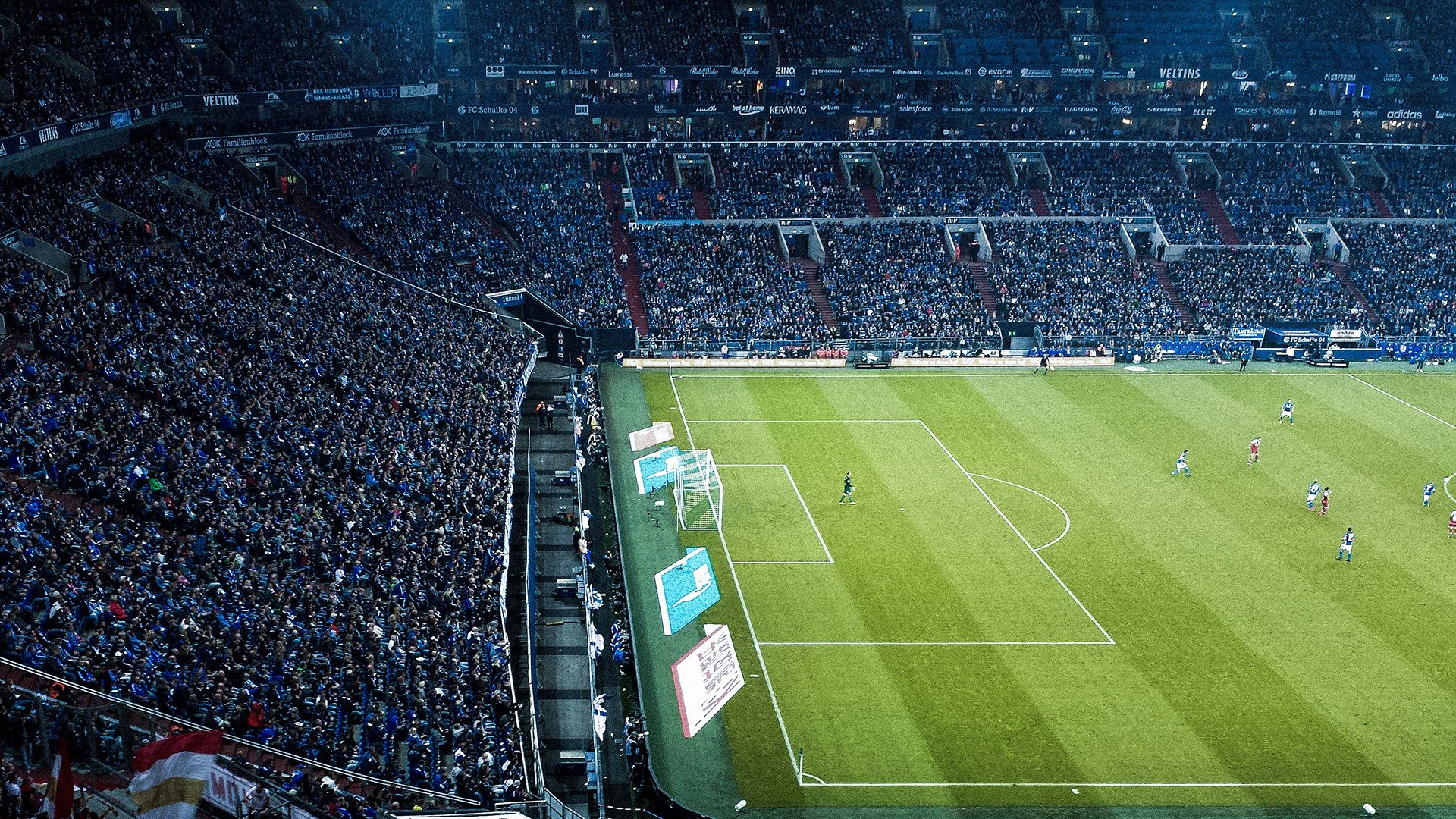 联盟与公益组织合作推动残疾人体育参与机会，残疾人联合会项目